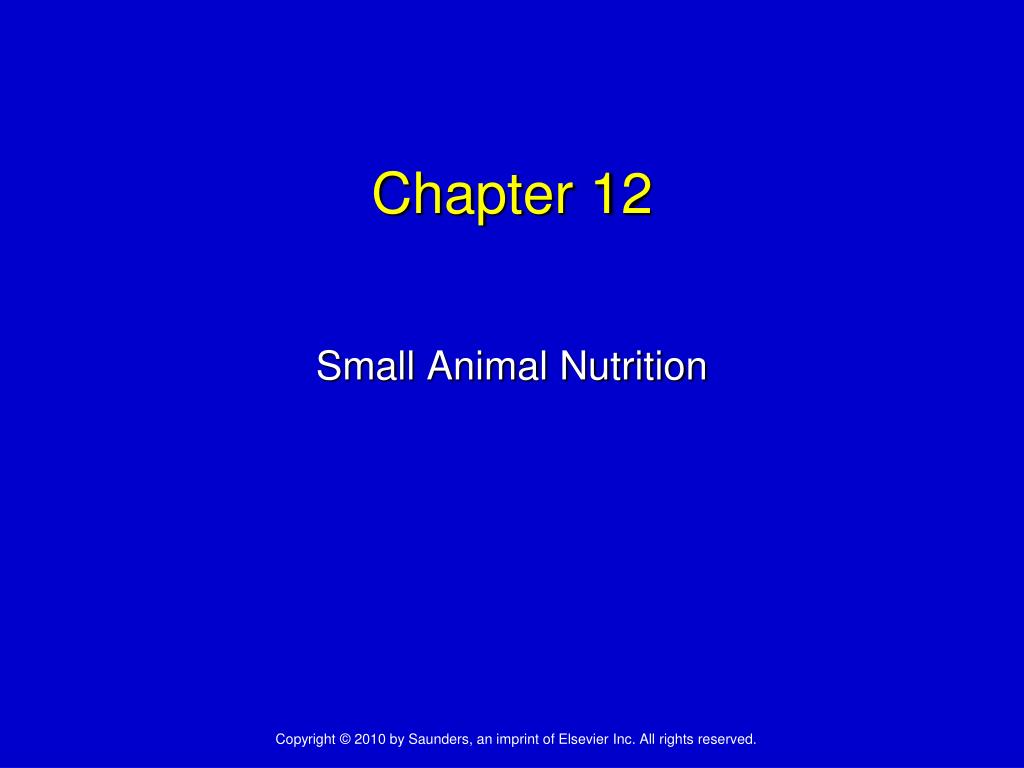 PPT Chapter 12 PowerPoint Presentation, free download ID4229717