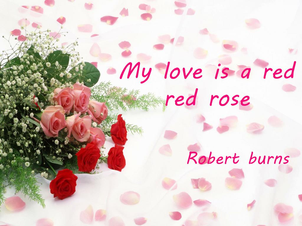 PPT My love is a red red rose PowerPoint Presentation, free download