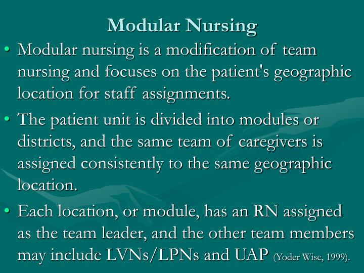 PPT STAFFING AND NURSING CARE DELIVERY MODELS PowerPoint Presentation