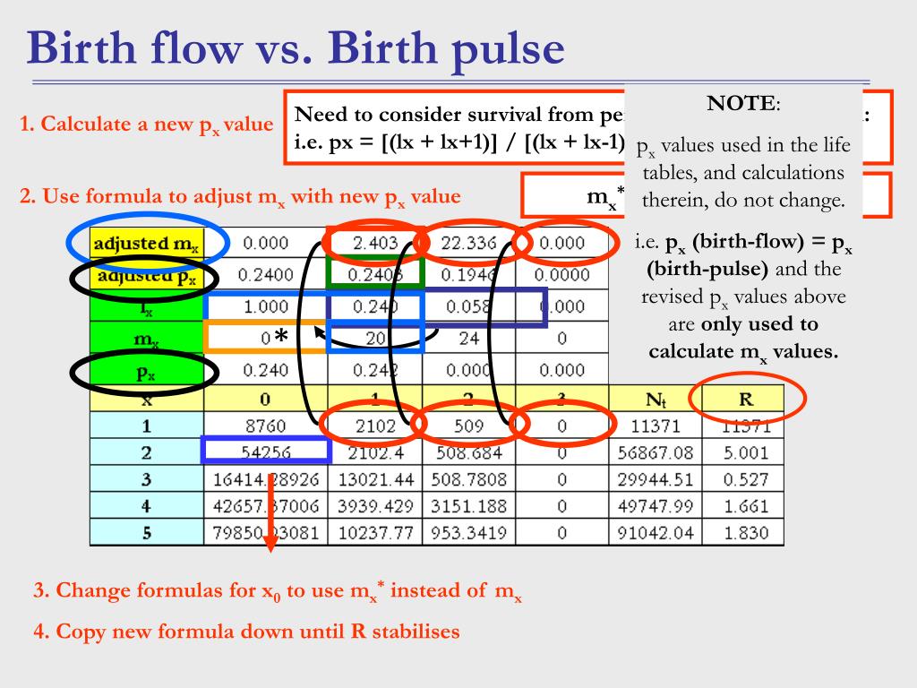 PPT Quantifying population growth PowerPoint Presentation, free