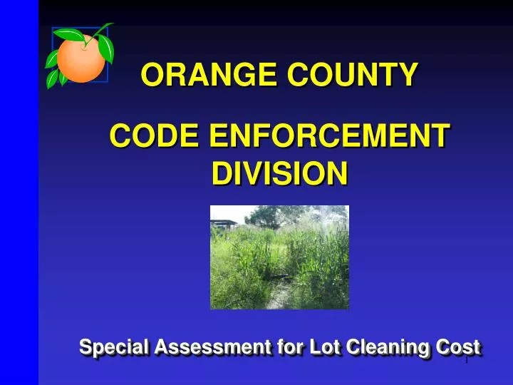 PPT ORANGE COUNTY CODE ENFORCEMENT DIVISION Special Assessment for