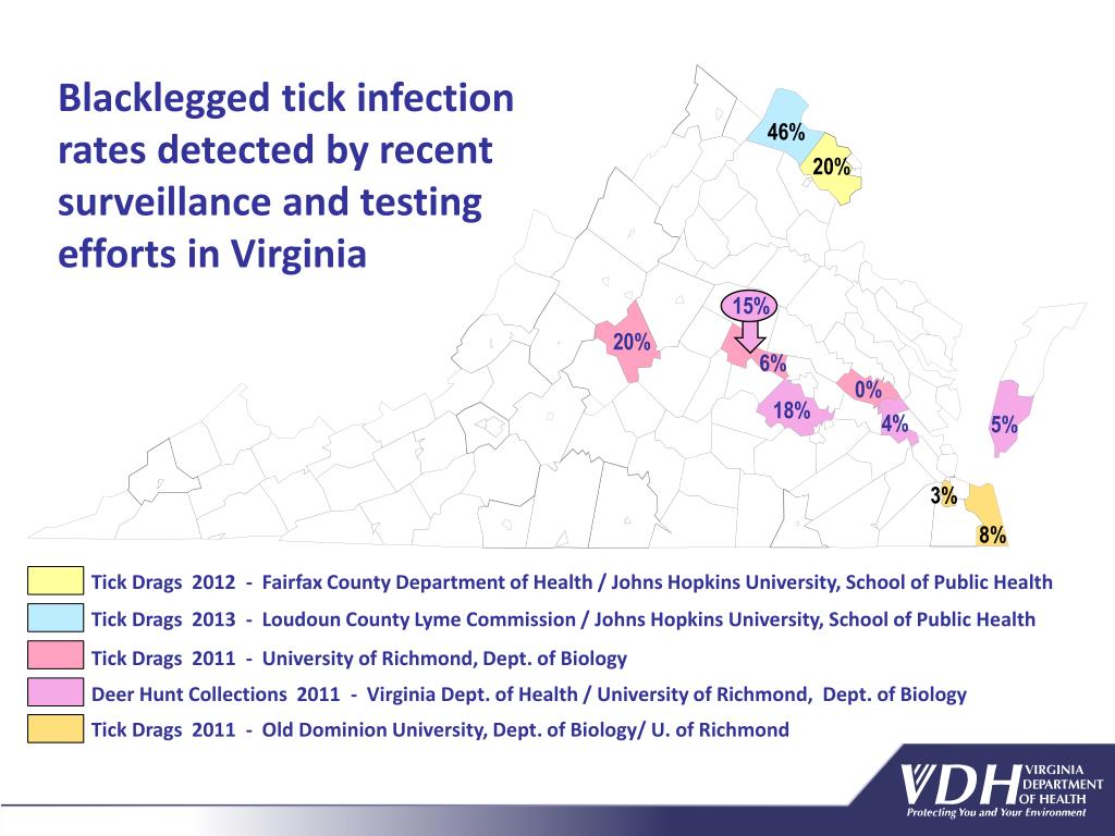 PPT Lyme Disease Transmission Ecology In Virginia Virginia Department