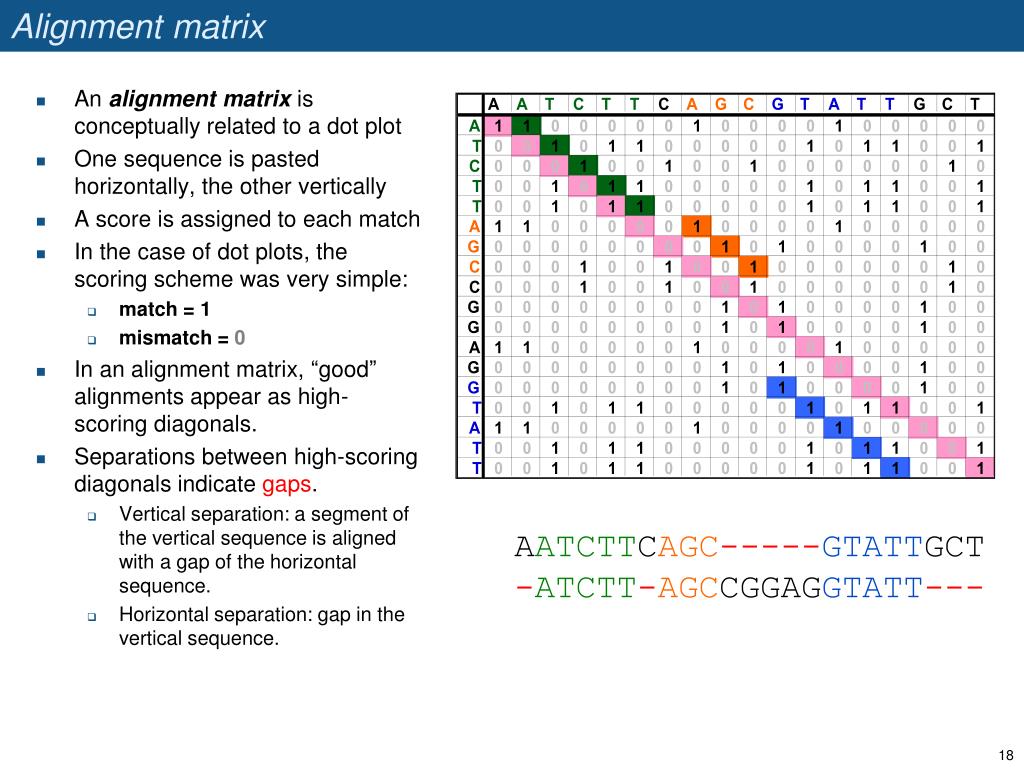 PPT Pairwise alignments PowerPoint Presentation, free download ID