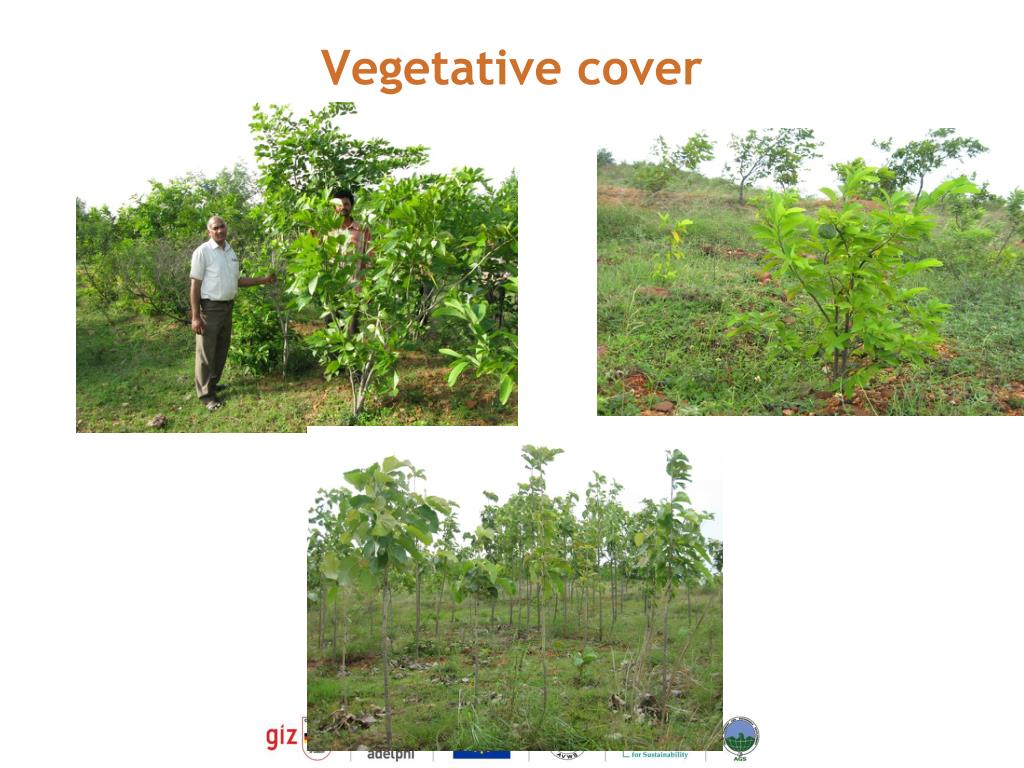 PPT Background of the initiative PowerPoint Presentation, free