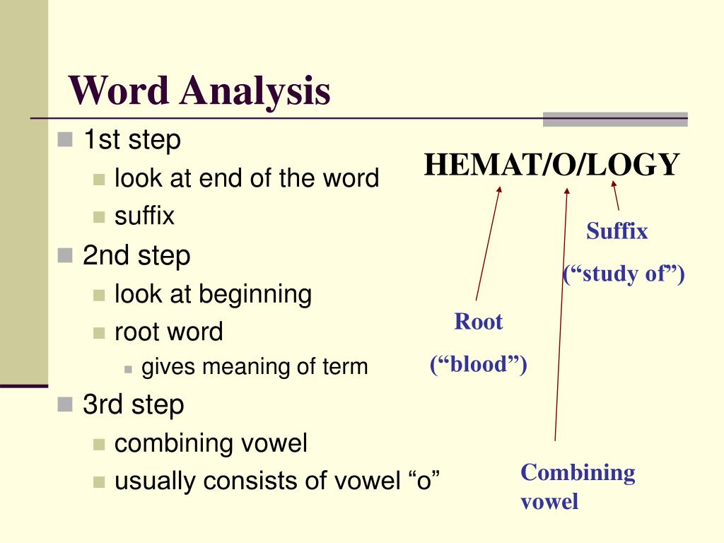 PPT Basic Medical Terminology 1 PowerPoint Presentation, free