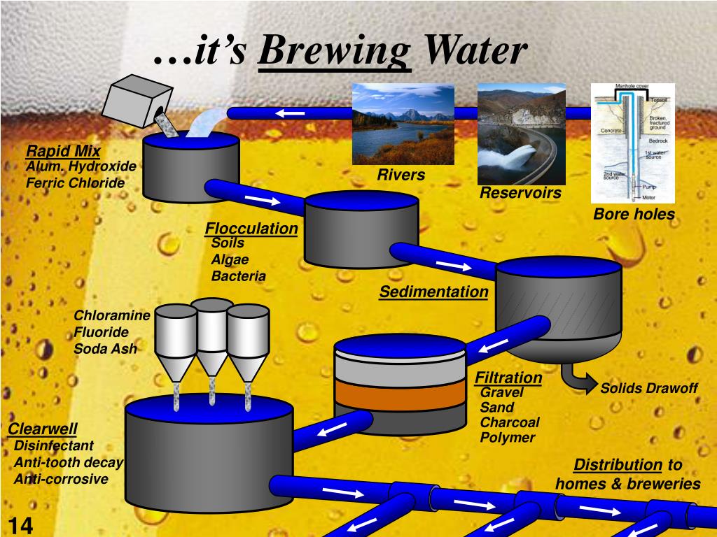 PPT Water Is not just water A Brewer’s Perspective PowerPoint