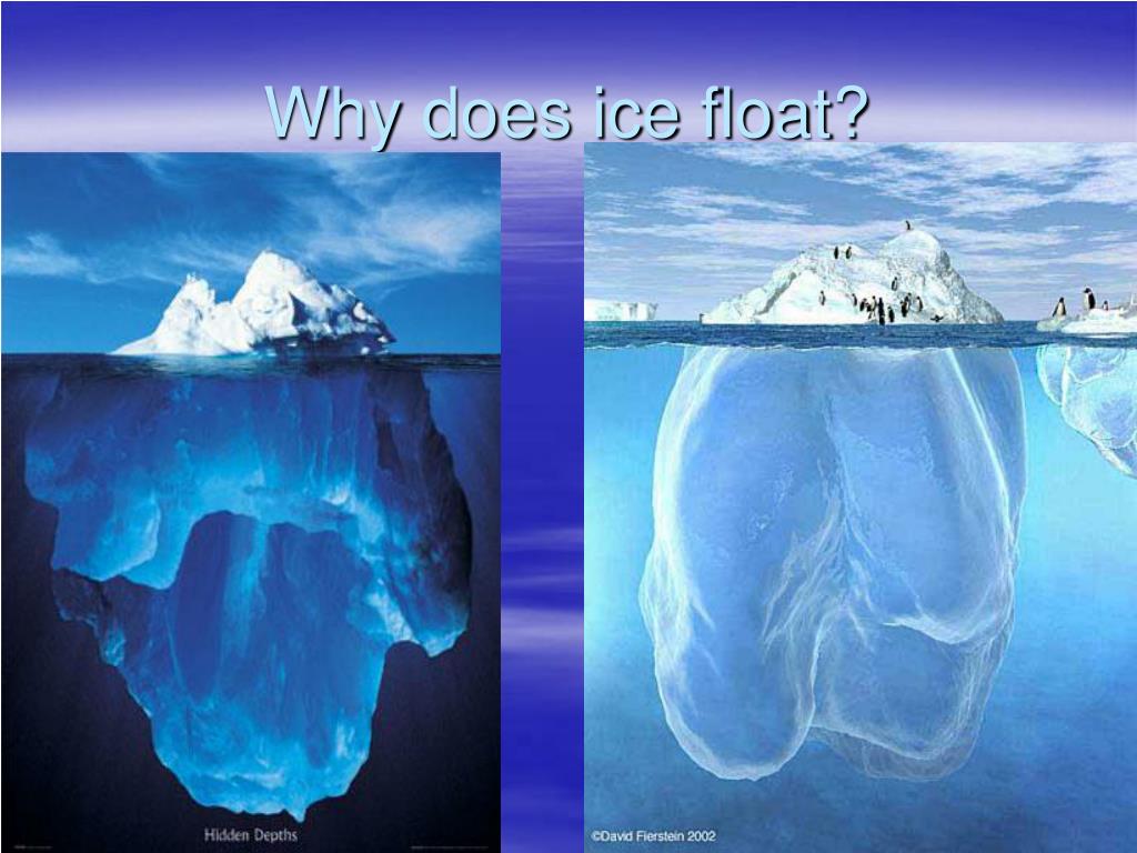 PPT Oceanography PowerPoint Presentation, free download ID4248517