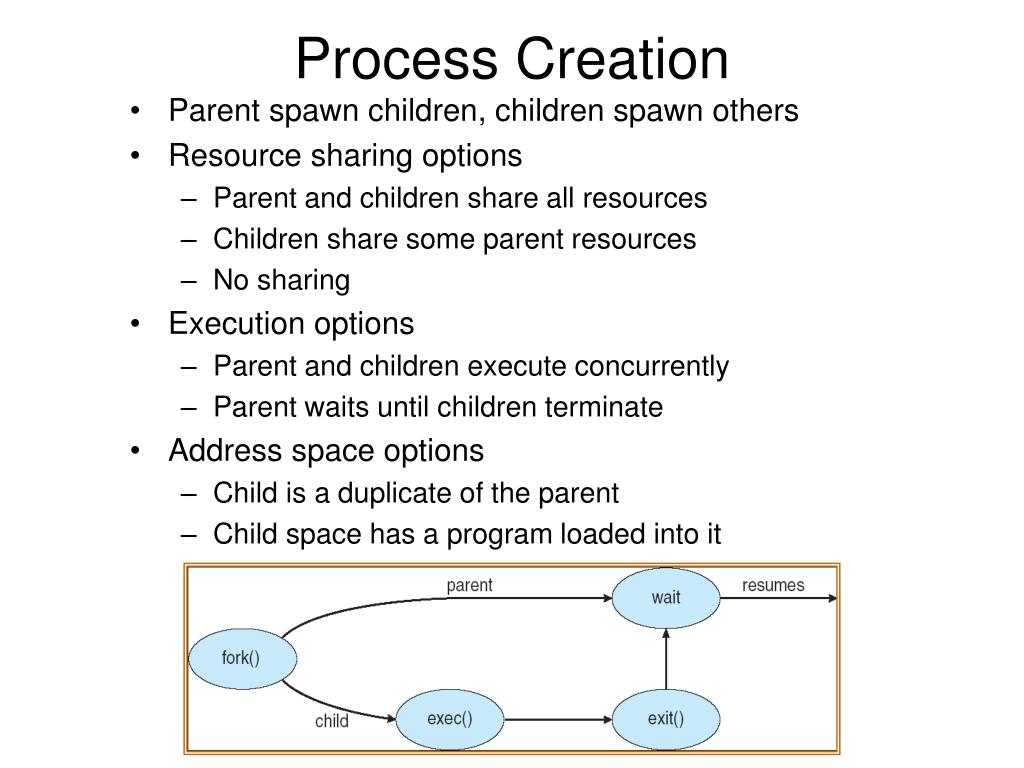 PPT Categories of Processes PowerPoint Presentation, free download