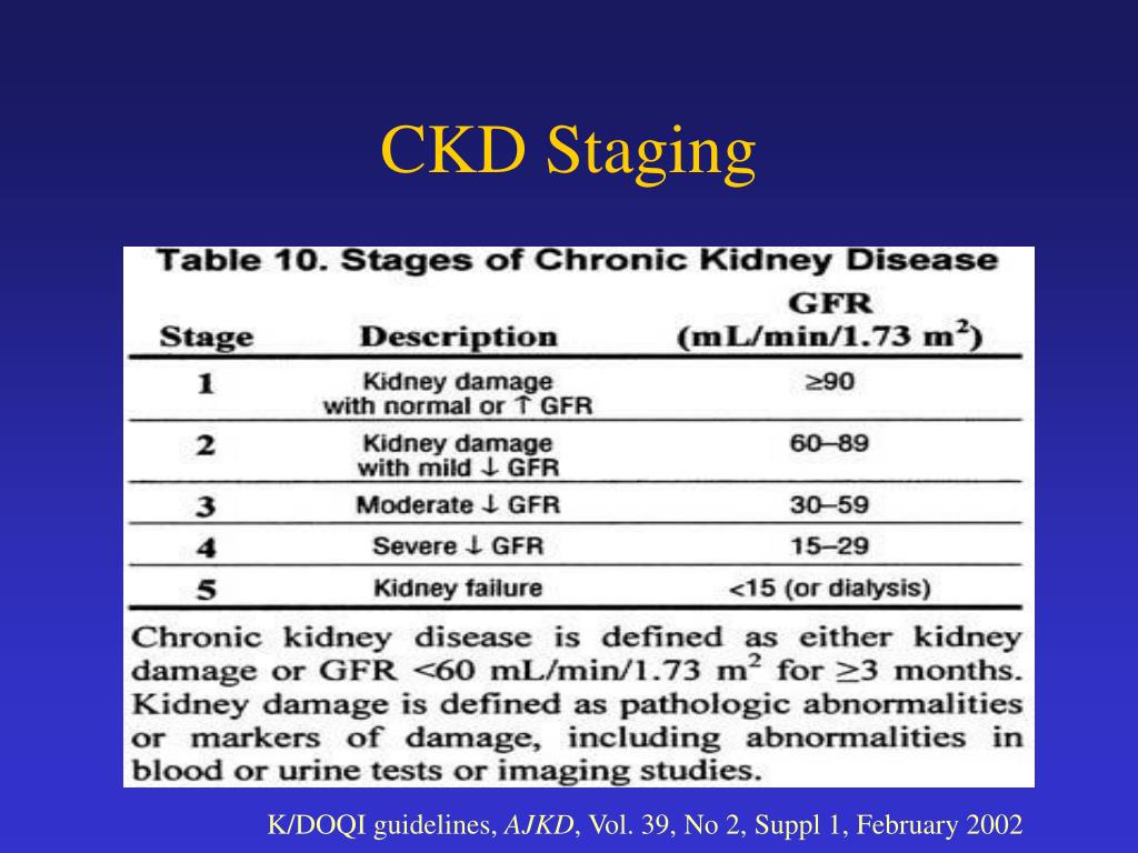 PPT New Concepts in Chronic Kidney Disease PowerPoint Presentation