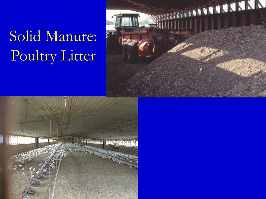 PPT Animal Waste Management PowerPoint Presentation, free download