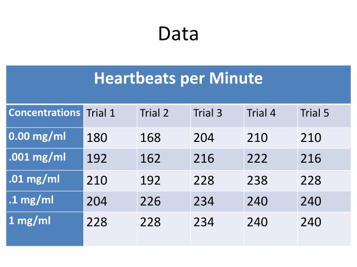 PPT The Effects of Caffeine on the Heart Rate of Daphnia magna