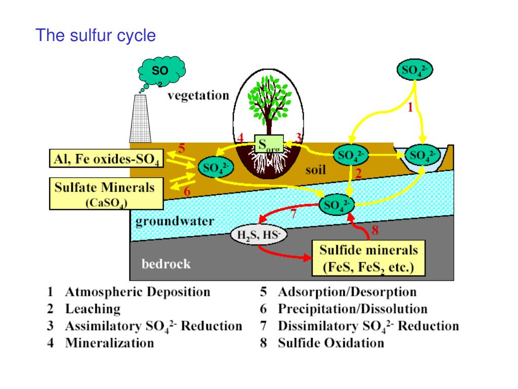PPT Sulfur isotopes 11/14/12 PowerPoint Presentation, free download