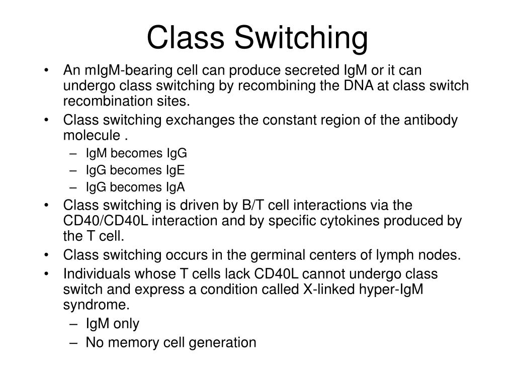 PPT B Cell Generation, Activation, And Differentiation PowerPoint