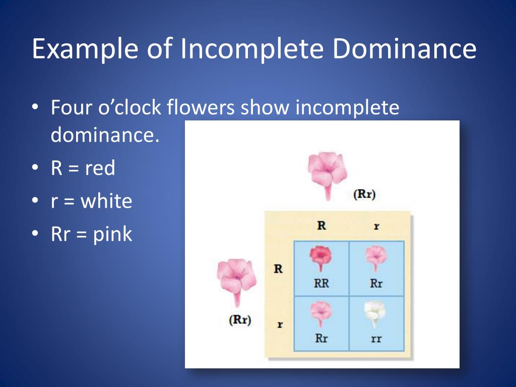 PPT Biology 250 Mendelian PowerPoint Presentation, free