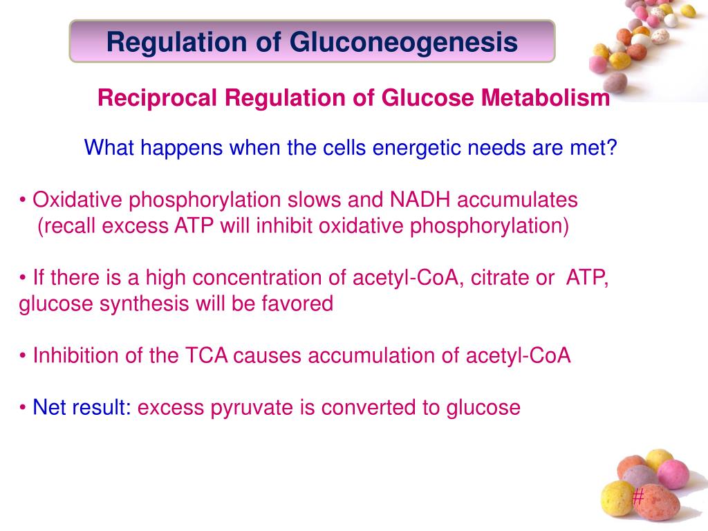 PPT GLUCONEOGENESIS PowerPoint Presentation, free download ID4291748