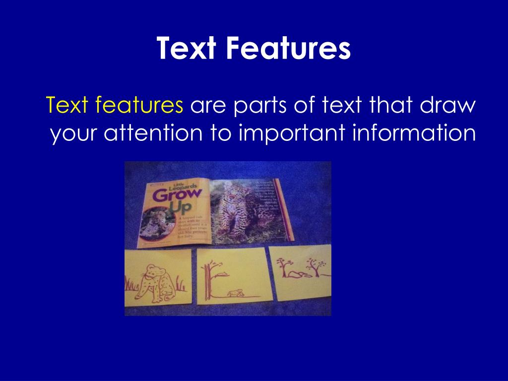 PPT - Understanding Text Features PowerPoint Presentation, free
