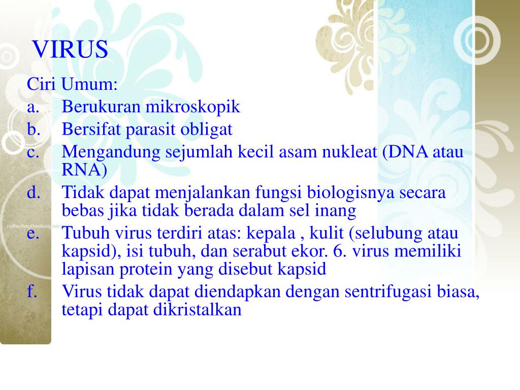 PPT KARAKTERISTIK UMUM MIKROBIOTA DAN VIRUS PowerPoint
