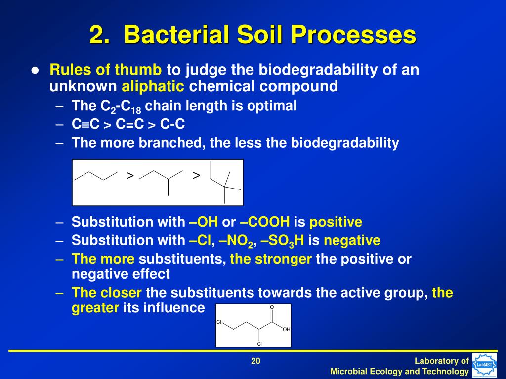 PPT Microbial Life in Soil PowerPoint Presentation, free download