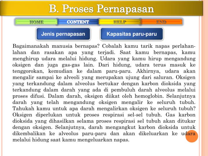 PPT SISTEM PERNAPASAN PADA MANUSIA PowerPoint