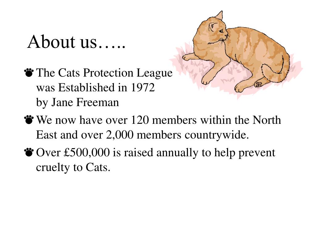 PPT Cats Protection League PowerPoint Presentation, free download