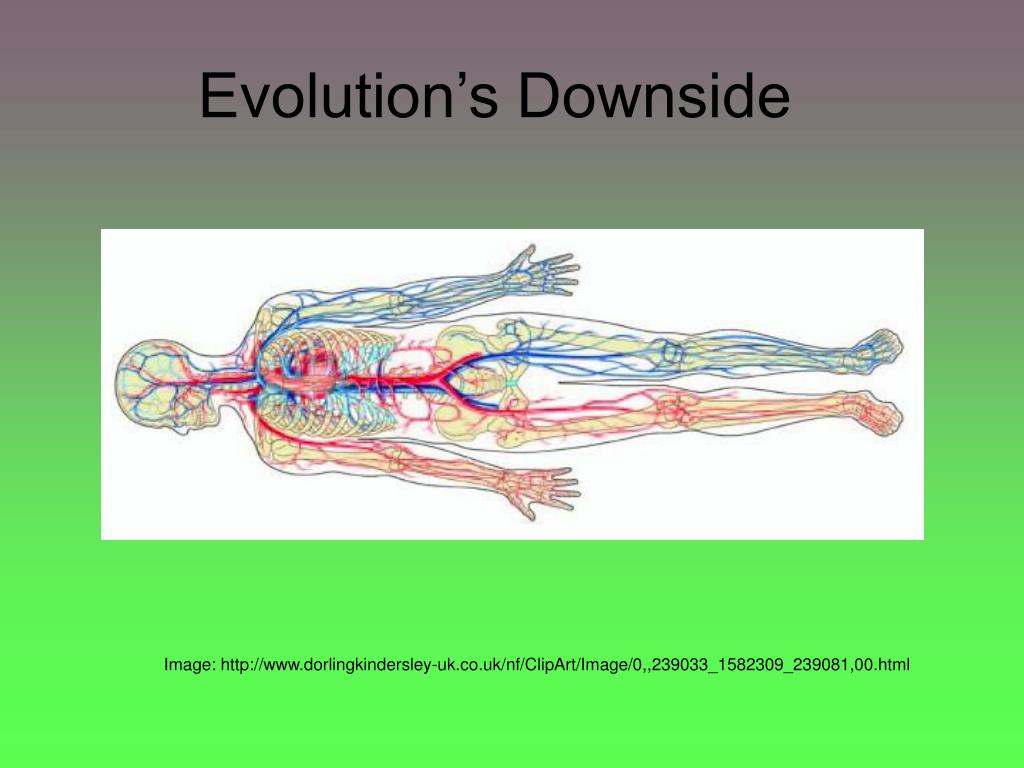 PPT The Meaning of It All PowerPoint Presentation, free download ID