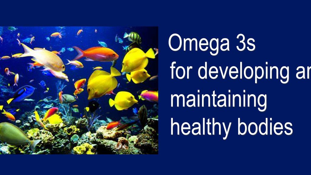 PPT Omega 3s for developing and maintaining healthy bodies PowerPoint