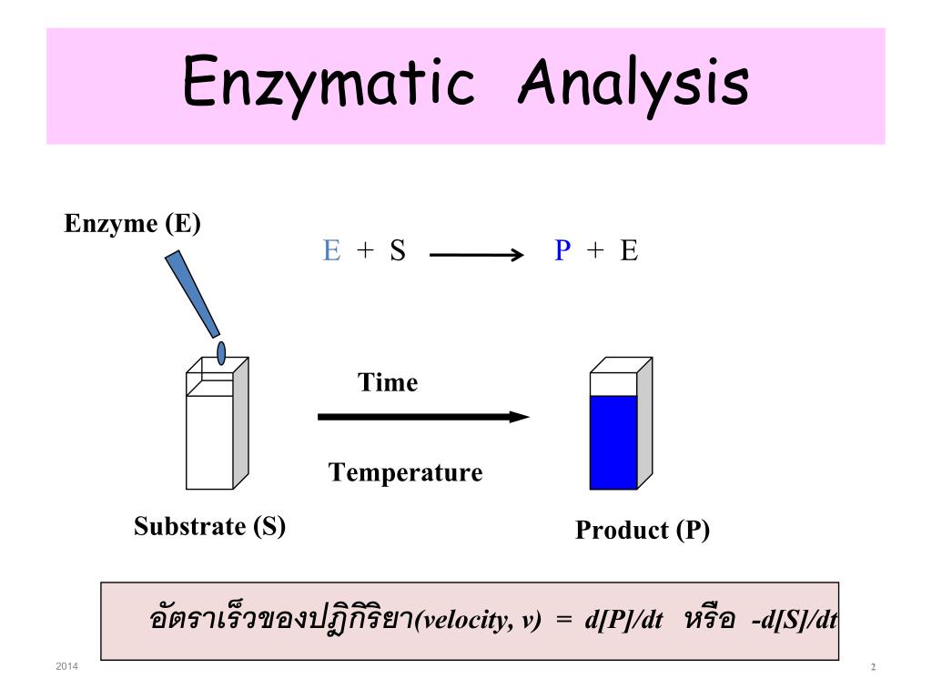 PPT 513341 Biochemistry I Chapter 7 ENZYME PowerPoint