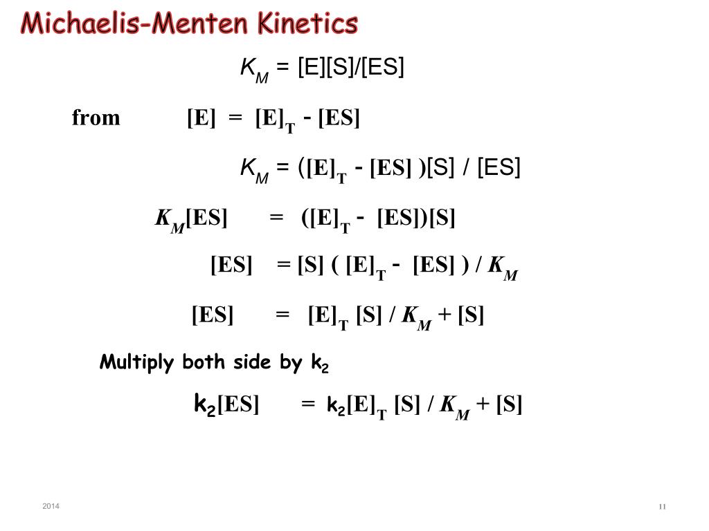 PPT 513341 Biochemistry I Chapter 7 ENZYME PowerPoint