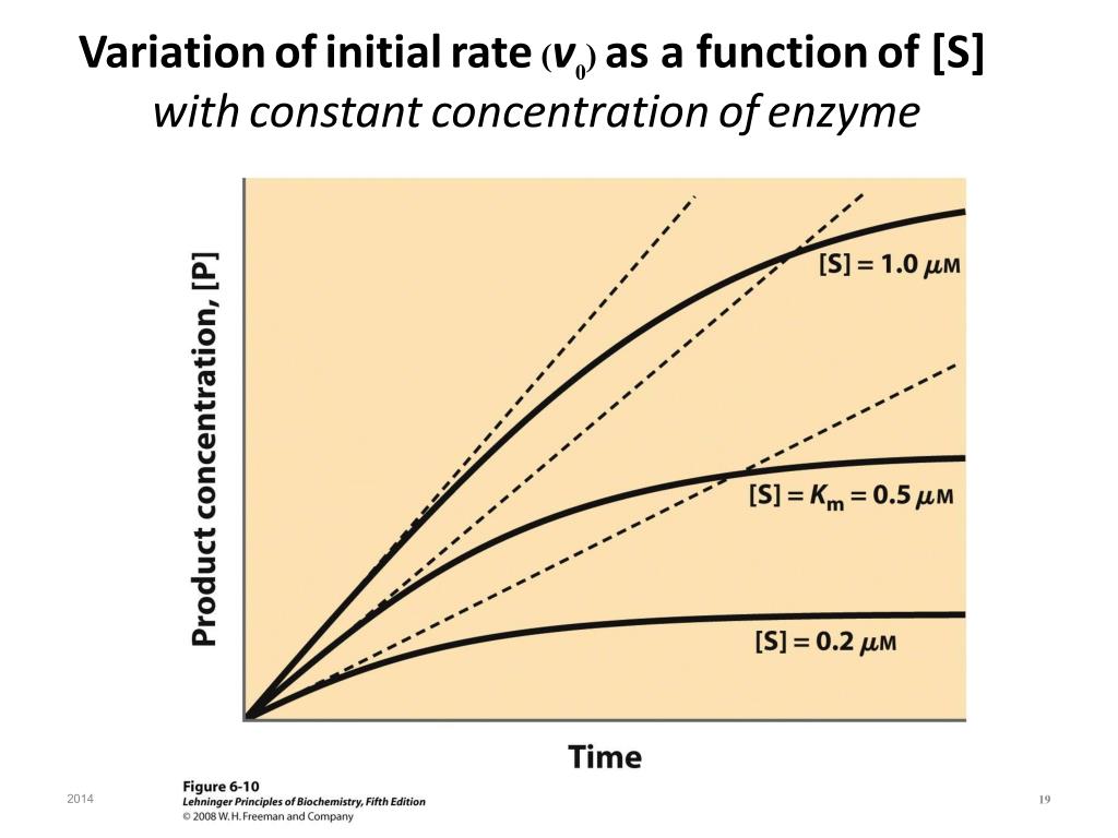 PPT 513341 Biochemistry I Chapter 7 ENZYME PowerPoint