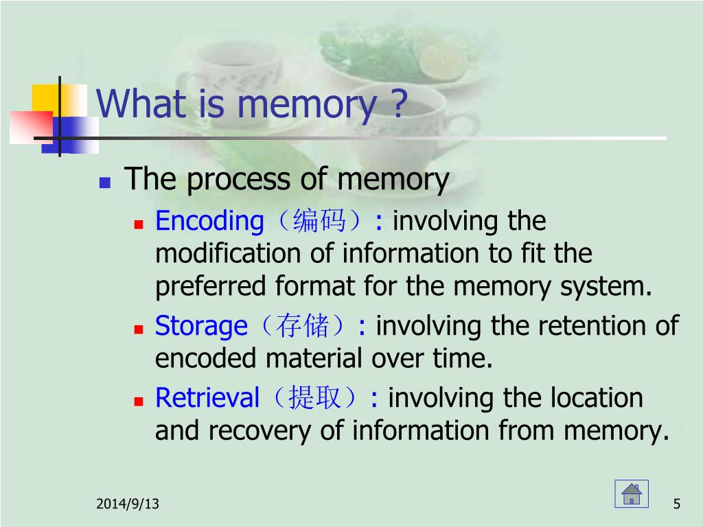 PPT Chapter 6 Memory PowerPoint Presentation, free download ID4313035