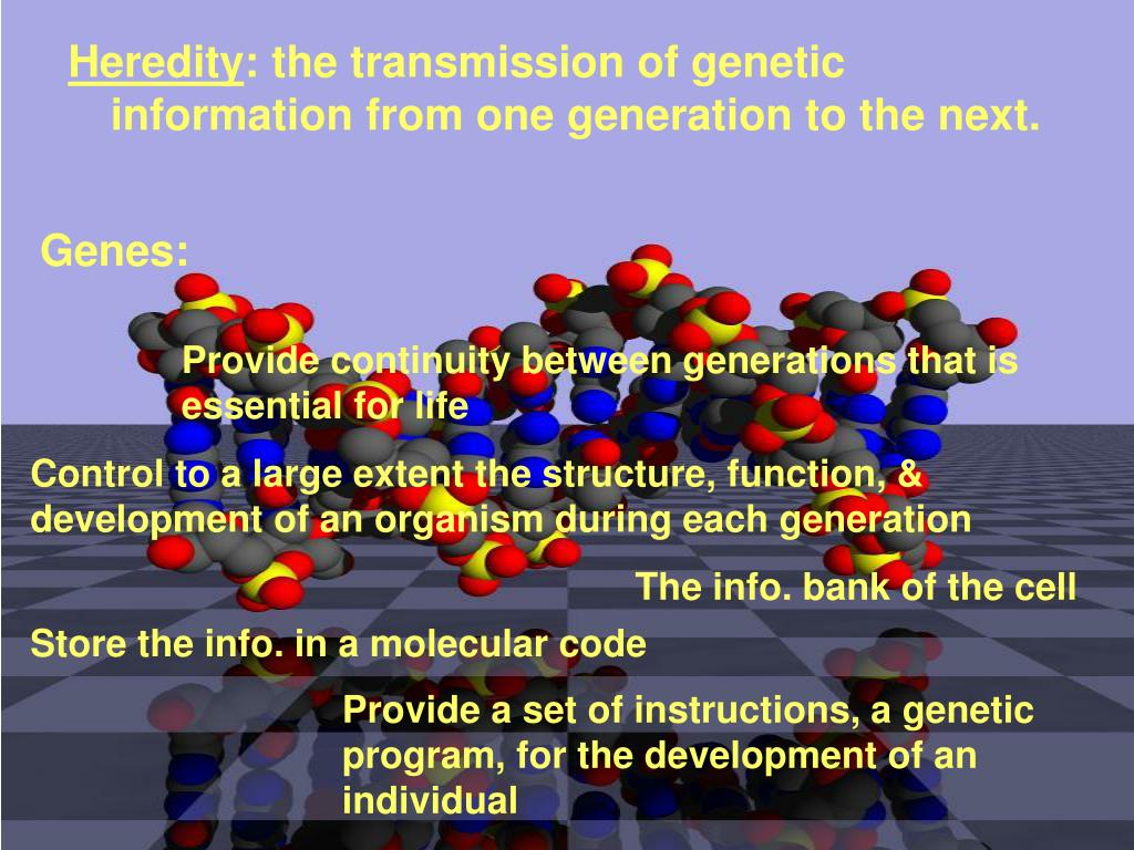 PPT Fundamentals of PowerPoint Presentation, free download