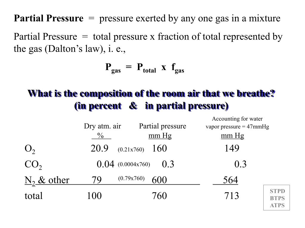 PPT Fisiología Respiratoria I. Mecánica de la respiración A. Anatomía