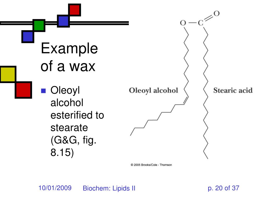 PPT Lipids II PowerPoint Presentation, free download ID4315004
