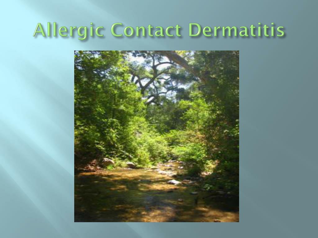 PPT Contact dermatitis PowerPoint Presentation, free download ID