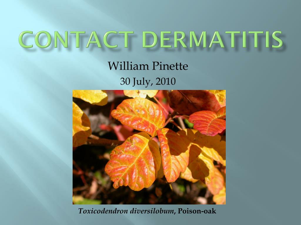 PPT Contact dermatitis PowerPoint Presentation, free download ID