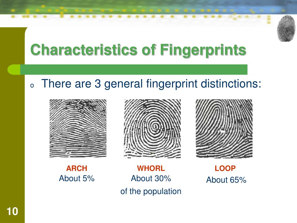 PPT Chapter 6 Fingerprints By the end of this chapter you will be able to PowerPoint