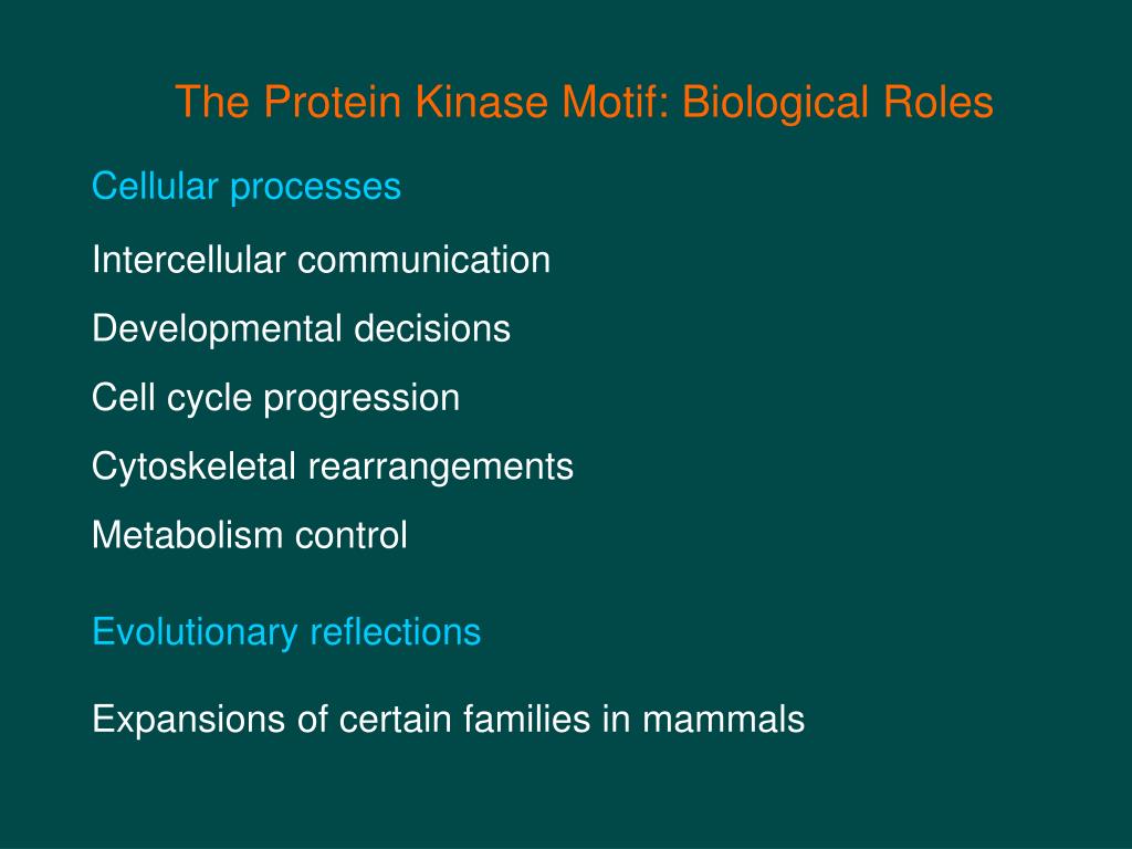PPT Protein Kinases PowerPoint Presentation, free download ID4321889