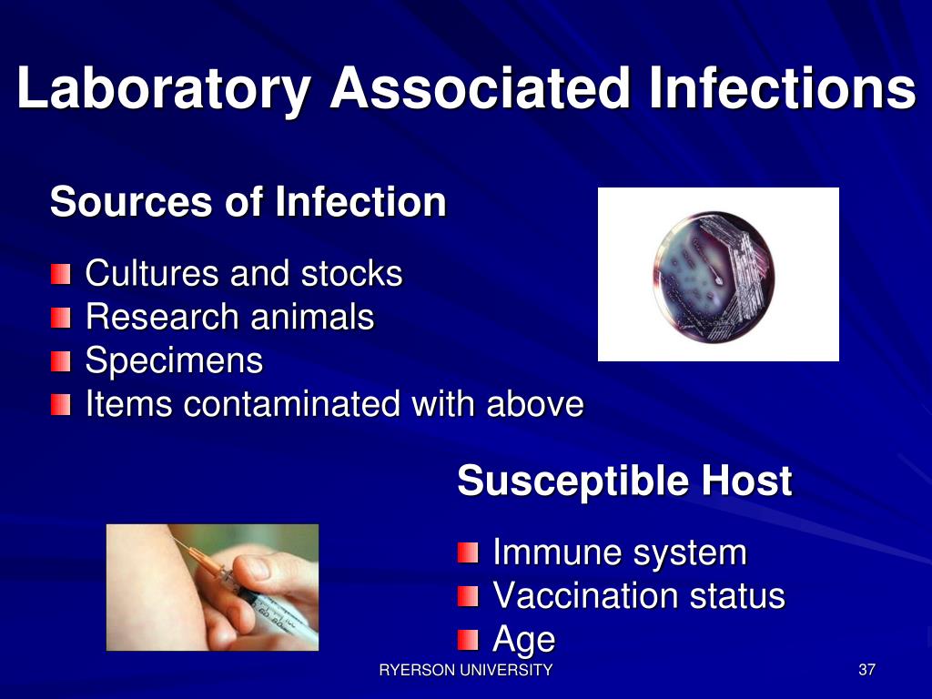 PPT 2. BIOLOGICAL HAZARDS PowerPoint Presentation, free download ID