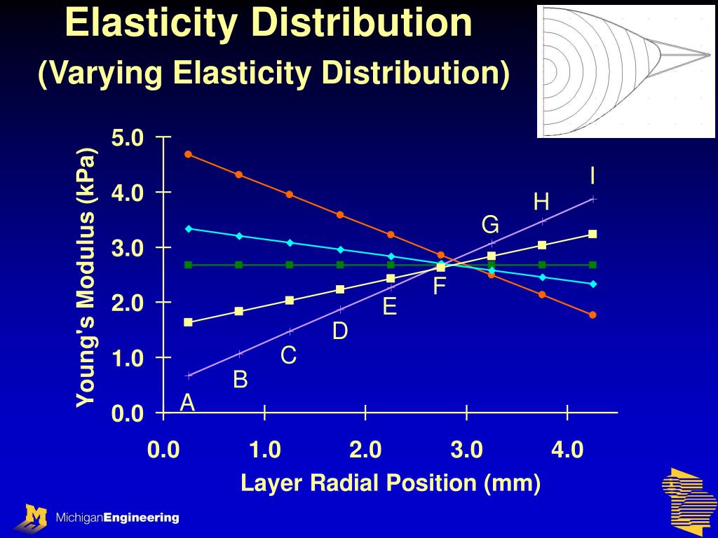 PPT Measuring and modeling elasticity distribution in the intraocular