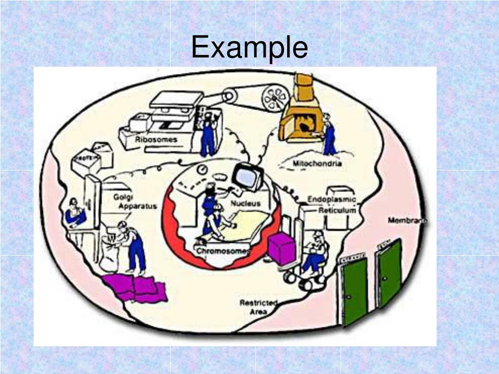 PPT A Cell is like a Factory PowerPoint Presentation, free download