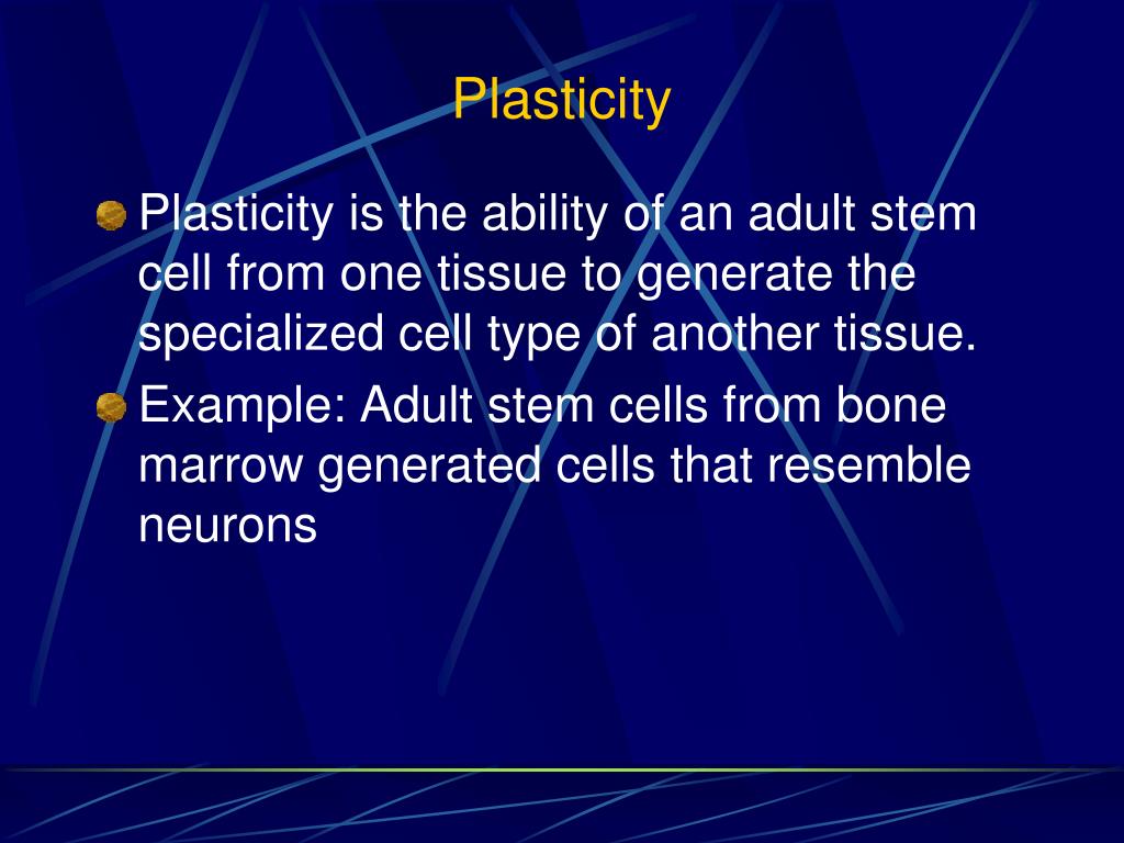 PPT Stem cell biology PowerPoint Presentation, free download ID4329931