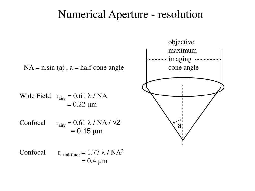 PPT Confocal Microscopy PowerPoint Presentation, free download ID