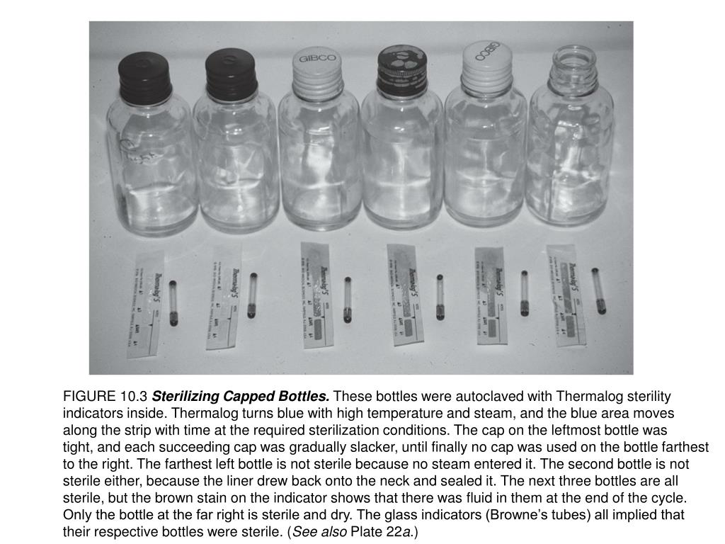 PPT FIGURE 10.2 Washing and Sterilizing Glassware. Sterilization