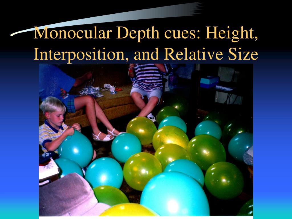 PPT Perception PowerPoint Presentation, free download ID4330820