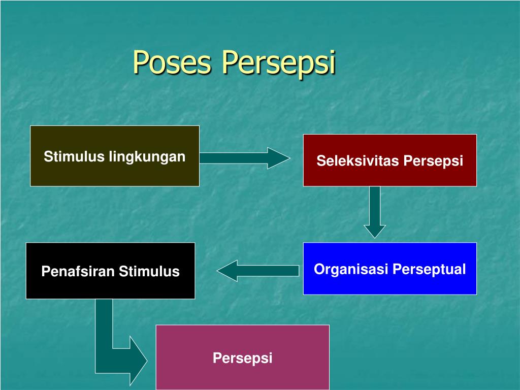 Teori Perhatian Atau Persepsi Psikologi Pdf Copy
