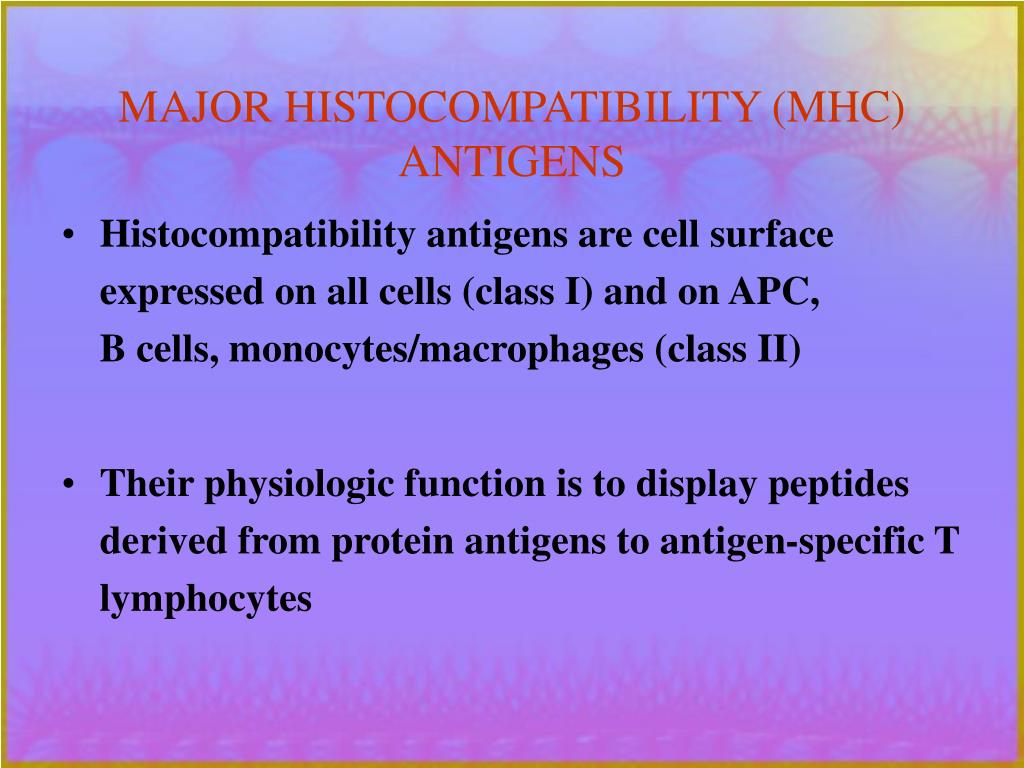 PPT Lecture 2 ANTIGENS AND THEIR PROCESSING 2013/2014 PowerPoint