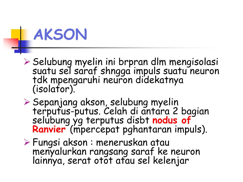 PPT Histologi Jaringan Syaraf PowerPoint Presentation, free download