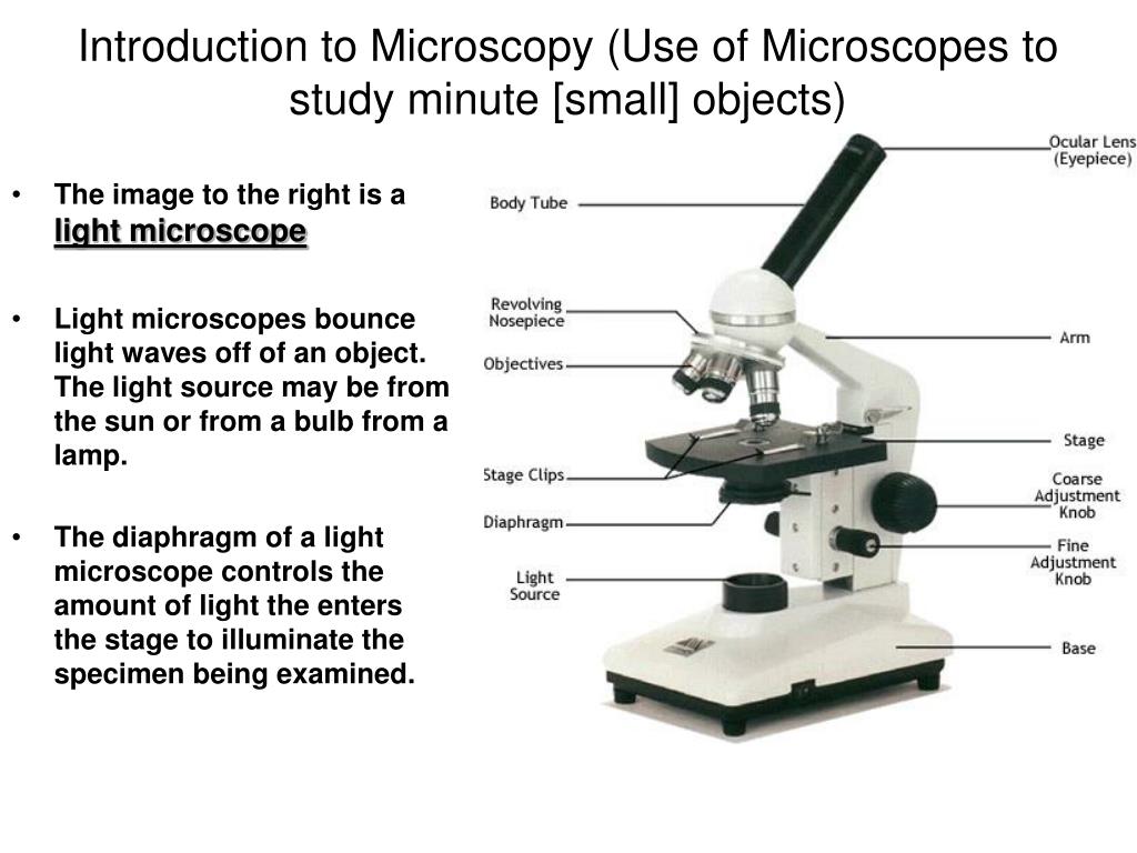 A Light Microscope Micropedia