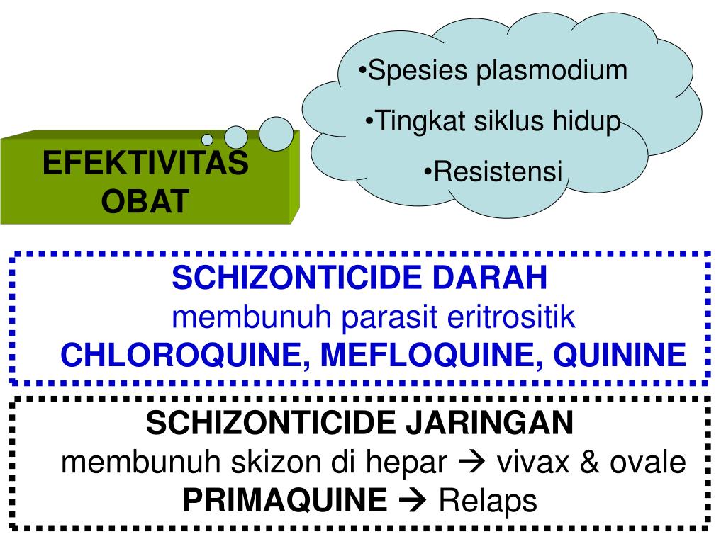 PPT ANTI MALARIA PowerPoint Presentation ID4339232