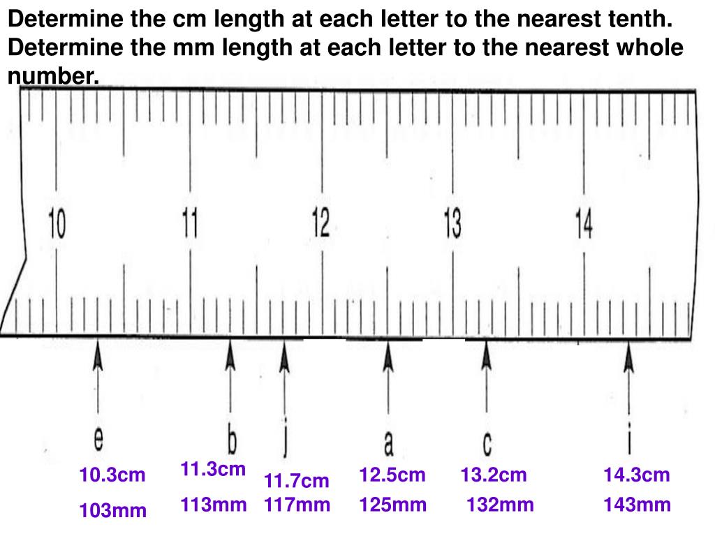 PPT Measurement Review PowerPoint Presentation, free download ID